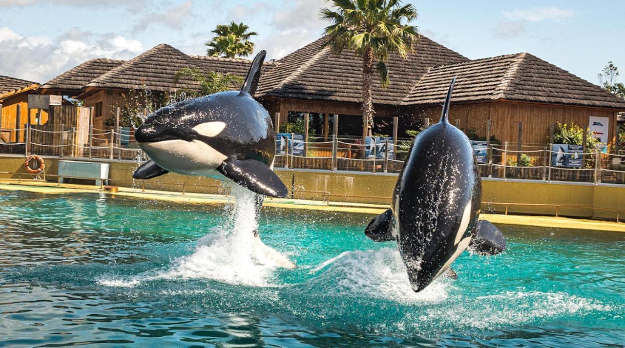 Appartement Marineland Sea View Antibes Ngoại thất bức ảnh